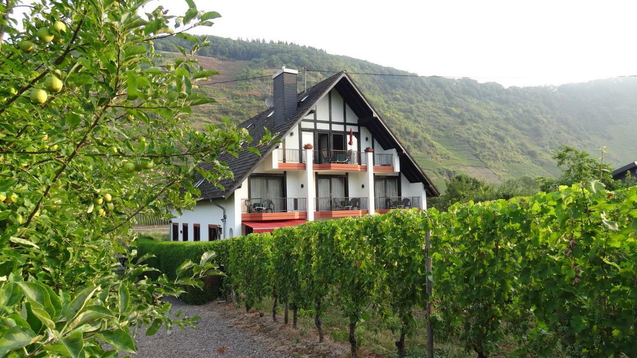 Haus Weingarten Appartements-Zimmer Ernst Rum bild